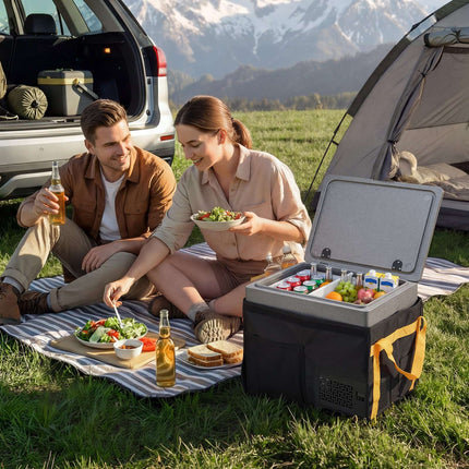 12V/24V Portable Car Fridge Freezer, 40L App Control