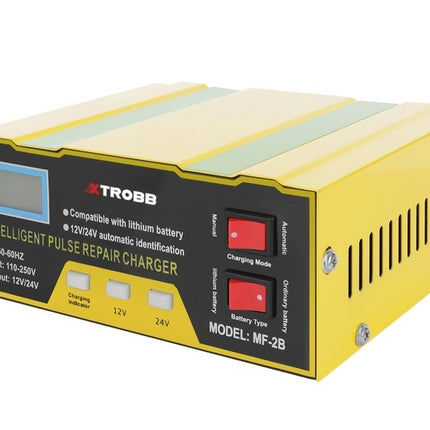 Incarcator baterie 12V/24V