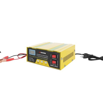 Incarcator baterie 12V/24V