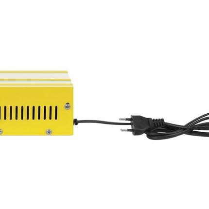Incarcator baterie 12V/24V