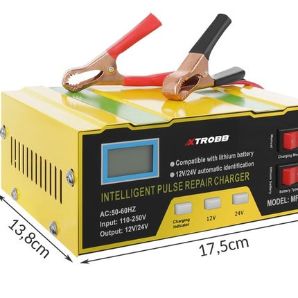 Incarcator baterie 12V/24V
