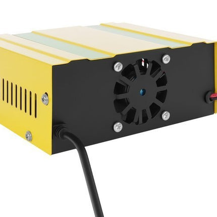 Incarcator baterie 12V/24V