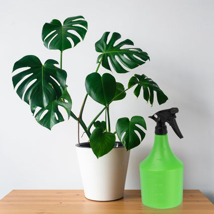 Set de 2 sticle de pulverizare de 1L