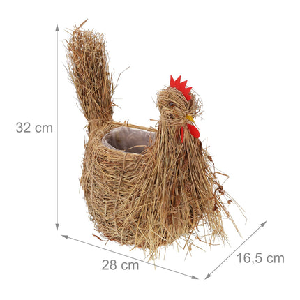 2x Ghiveci cu flori de pui
