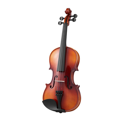 4/4 Violin Solid Wood Beginner Set With Case