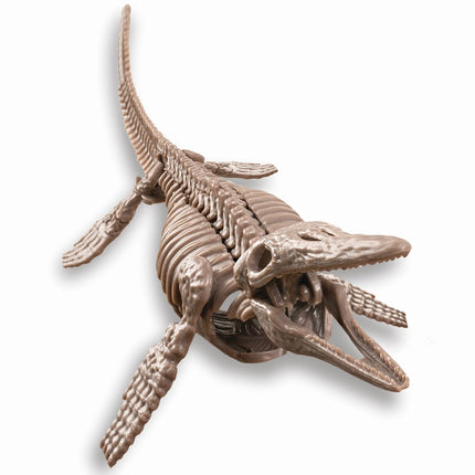 4M Kit creativ Săpături schelet de Mosasaurus