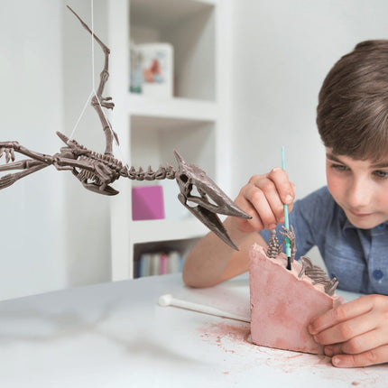Kit de lucru 4M „Săpați un schelet de Pteranodon”