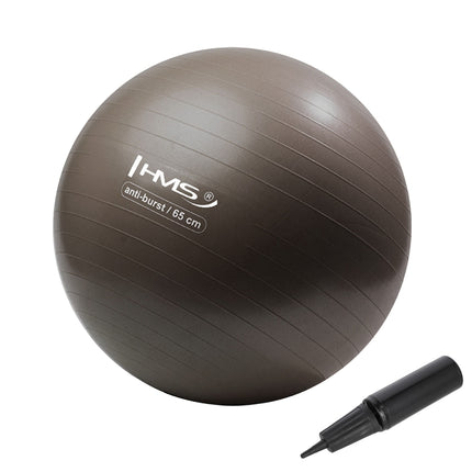 Minge de gimnastică anti-explozie de 65 cm pentru exerciții și yoga