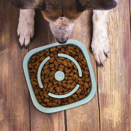 Bol anti-sling 800 ml