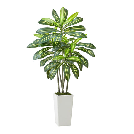 Artificial Dracaena Tree 5ft, White Tall Planter