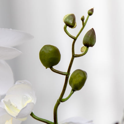 Plantă artificială Orhidee artificială în ghiveci Flori artificiale 75 cm Plantă de apartament albă pentru sufragerie și dormitor