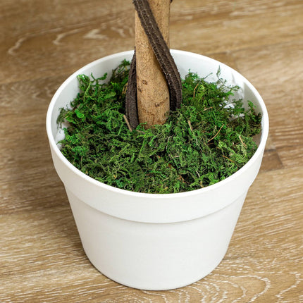 Plantă artificială în ghiveci de ciment - alb, 90 cm, set de 2