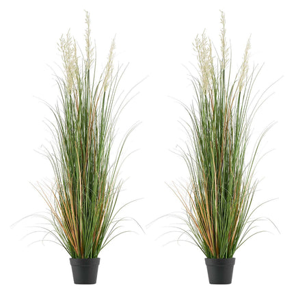 Artificial Reed Grass Plants in Pot, 2-Pack, 5 Ft