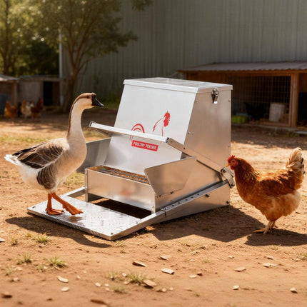 Automatic Chicken Feeder, 18.14 kg Treadle, Lockable Lid