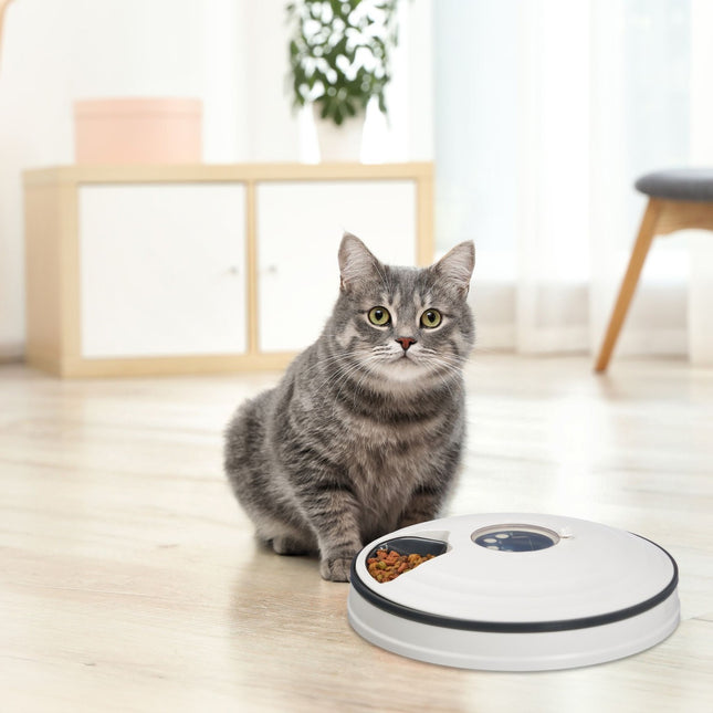 Hrănitor automat pentru animale de companie, dozator electric de hrană cu 6 porții