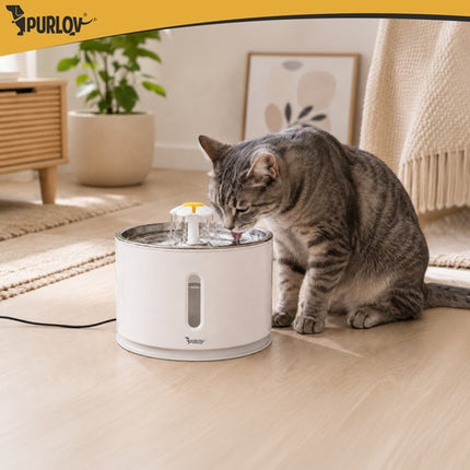 Automatic Pet Water Fountain, 2.4L with LED Filter