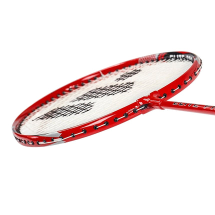 Set badminton: 4 rachete, 3 volante, plasă și linii
