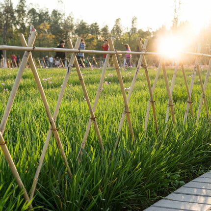 Bamboo Canes 105 cm