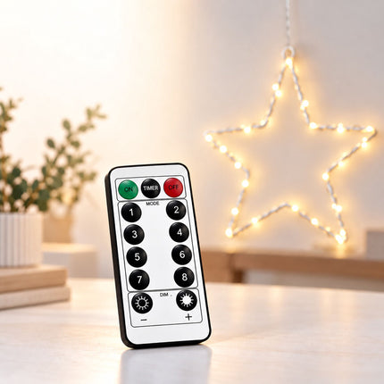 Battery LED Christmas Star with Remote Control and Timer, 40 LEDs, IP44