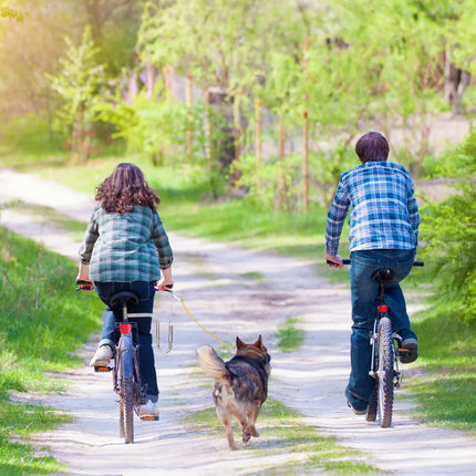 Lesa de bicicleta cu distanta pentru caini