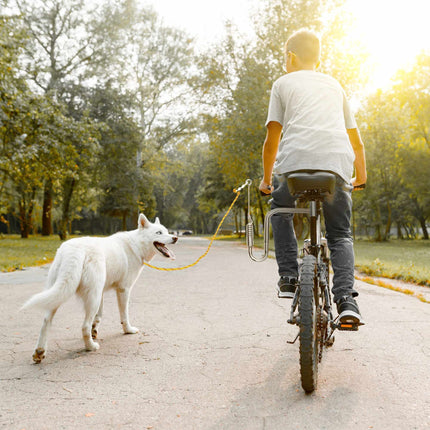 Lesa de bicicleta cu distanta pentru caini