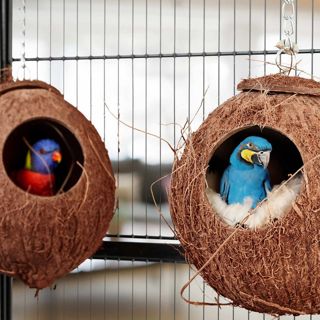 Set de 2 nucă de cocos Birdhouse