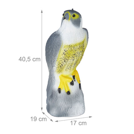 Pasărea îl sperie pe Hawk