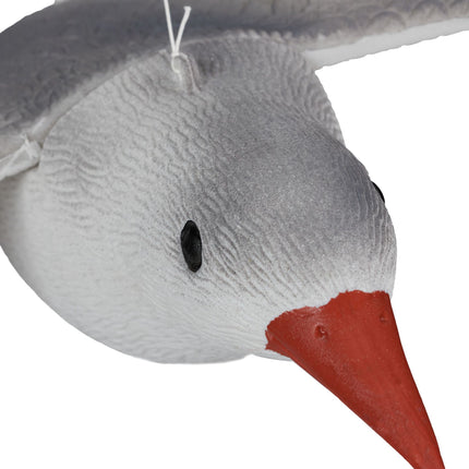 Bird scare seagull flying