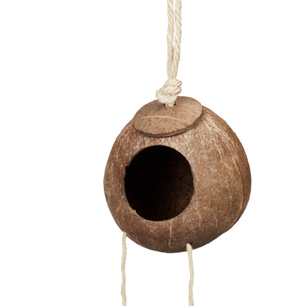 Jucărie pasăre cu nucă de cocos și scară din lemn