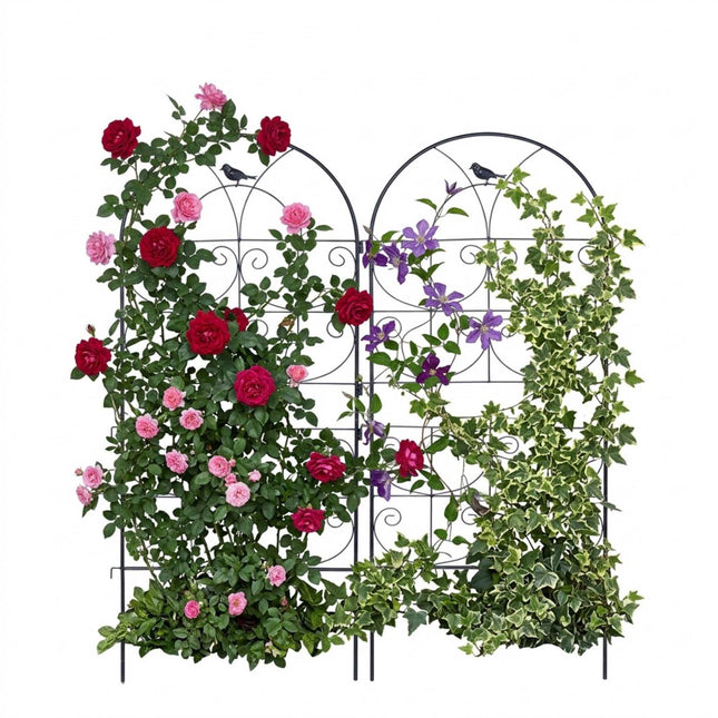 Set de spalier din oțel negru pentru plante cățărătoare