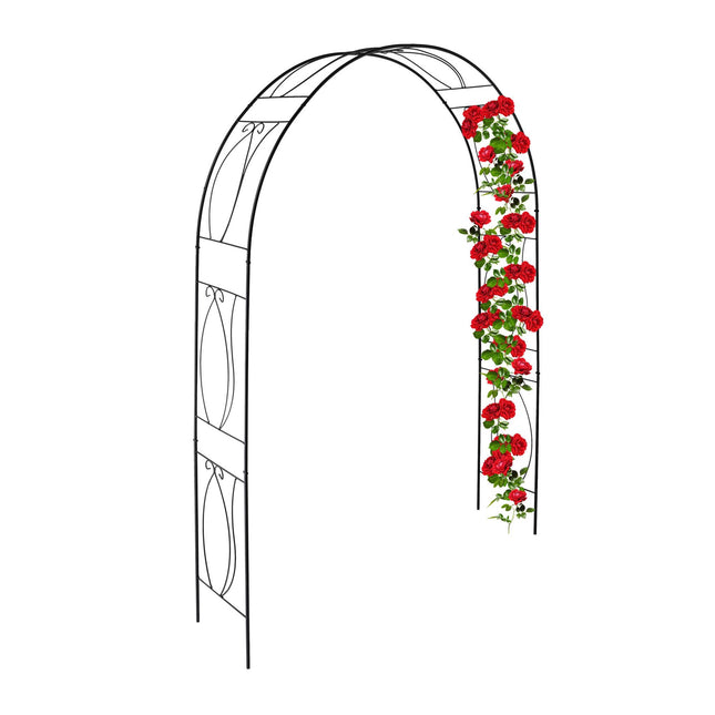 Arc de trandafir negru