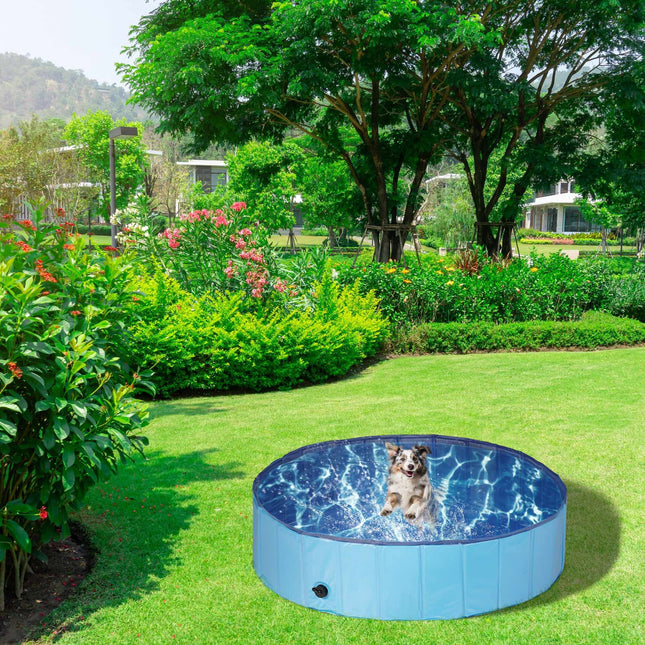 Piscină albastră pentru câini
