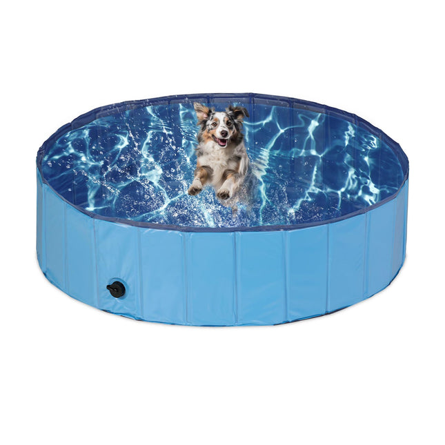 Piscină albastră pentru câini