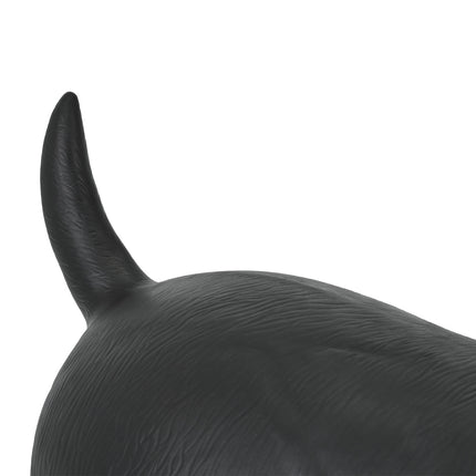Câine animal care săritură negru