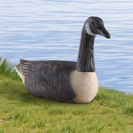 Canada Goose Decoys 6-Pack, Floating Waterfowl Hunting