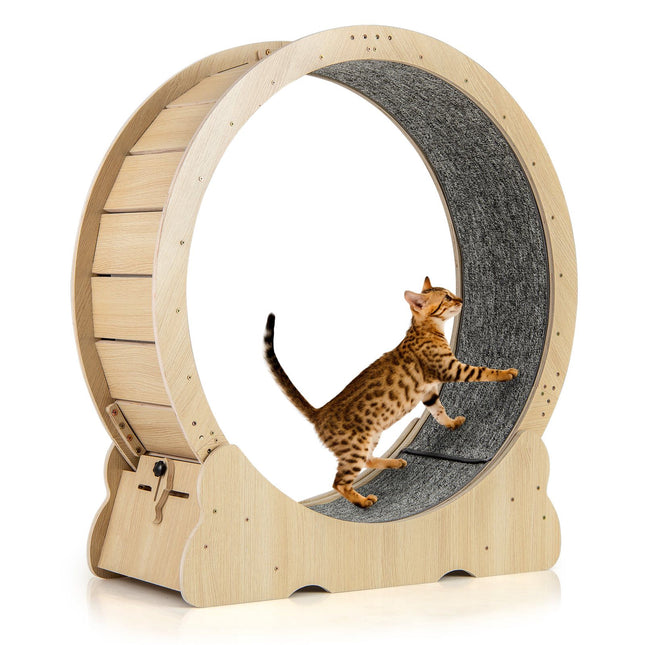 Roată de exerciții pentru pisici cu blocare, 101 cm, design silențios