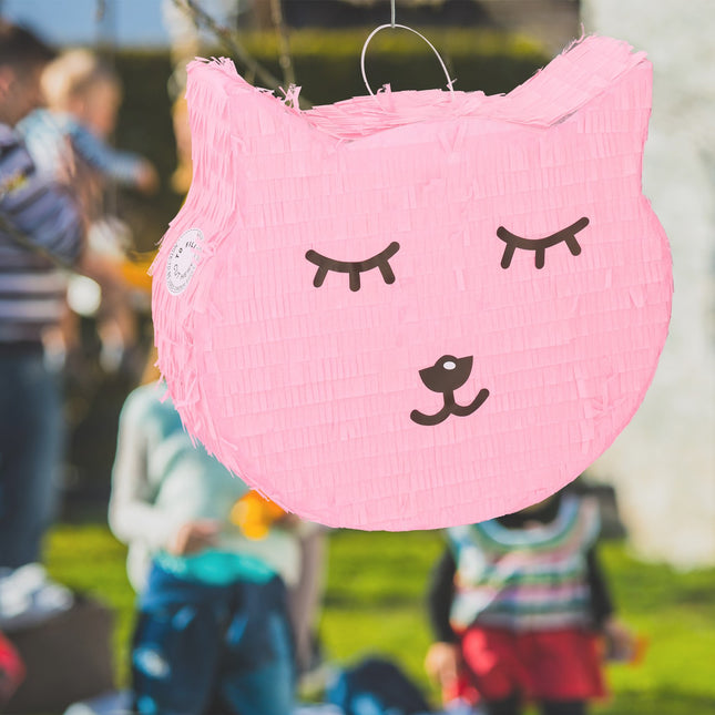 Cat pinata with lollipop and worm