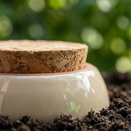Conuri de udare din lut cu capace, 350 ml, bej, pachet de 4