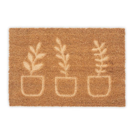 Plante de covoraș de cocos