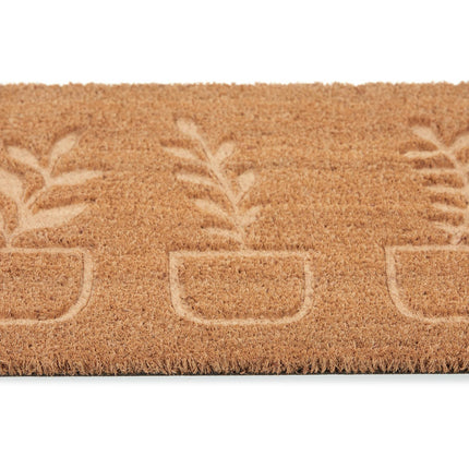 Plante de covoraș de cocos