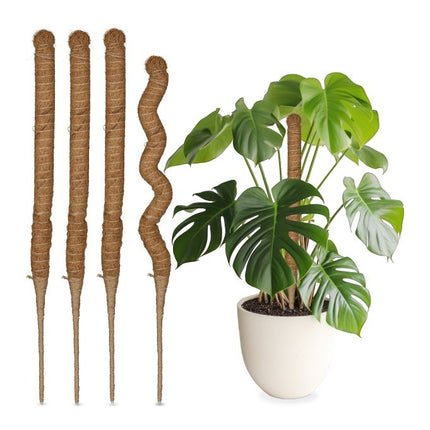 Batoane de cocos 60 cm