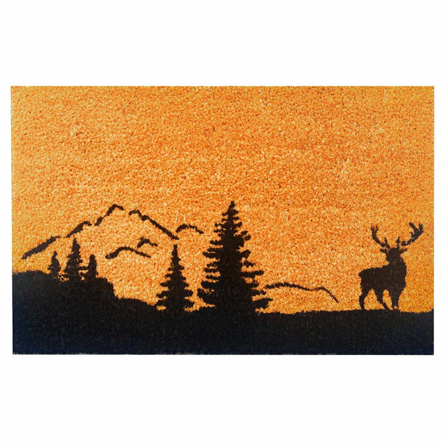 Covoraș de ușă din cocos, 60x40 cm, design decorativ