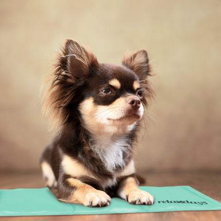 Covoraș de răcire pentru câini