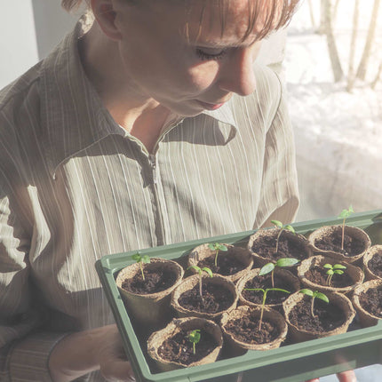 Ghivece de cultivare pachet 120