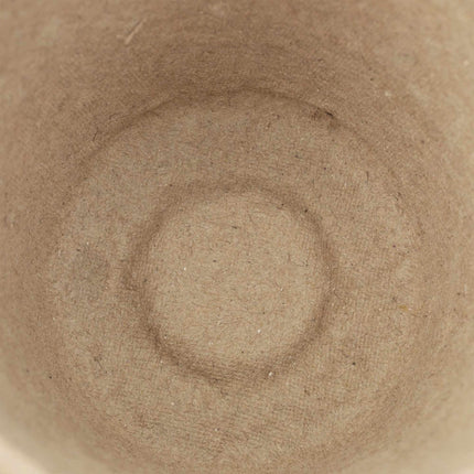 Ghivece de cultivare pachet 120