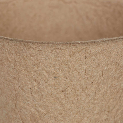 Ghivece de cultivare pachet 120