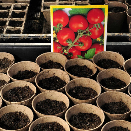 Ghivece de cultivare pachet 120