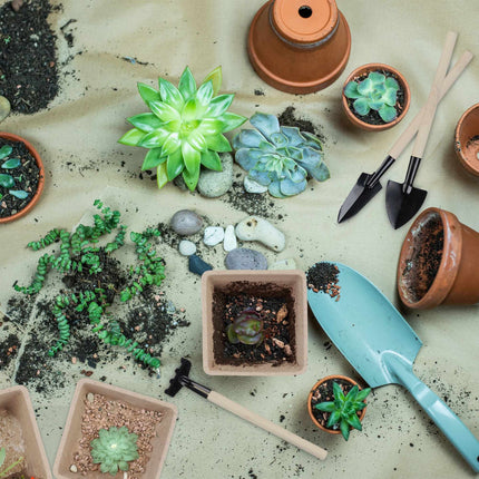 Ghivece de cultivare 120 seturi cu unelte