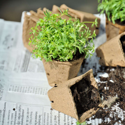 Ghivece de cultivare 120 seturi cu unelte