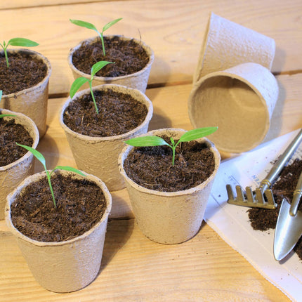 Ghivece de cultivare pachet 80